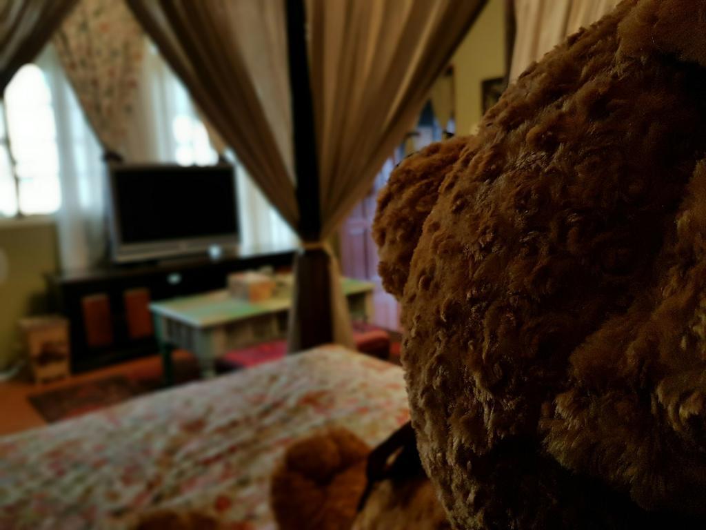 Bearbear Homestay 화롄 외부 사진