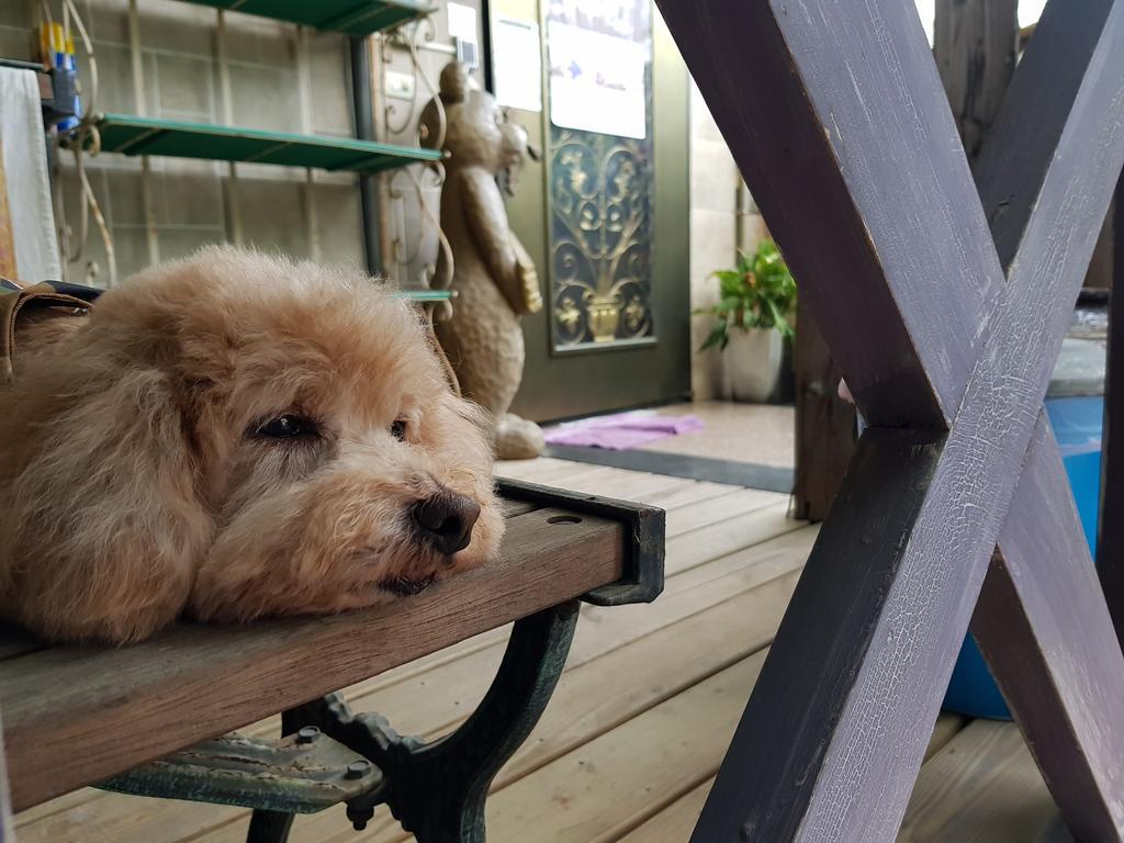 Bearbear Homestay 화롄 외부 사진