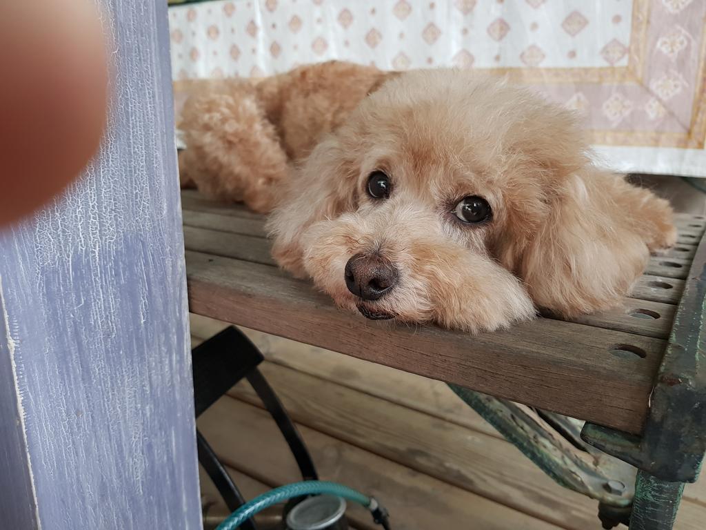 Bearbear Homestay 화롄 외부 사진